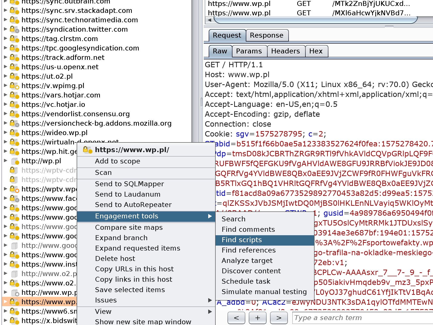 burp suite professional key